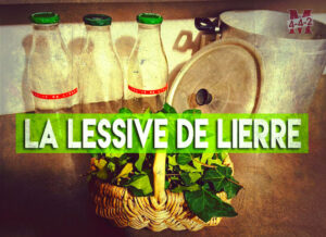 La lessive de lierre, ou comment dire « au revoir » aux produits chimiques et « bonjour » aux économies