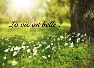 La vie est belle !