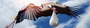 Cigogne