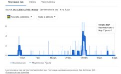 Cas Nouvelle Calédonie