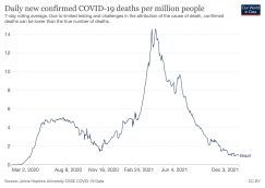 Décès covid au Brésil.