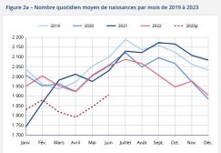 Nombre quotidien moyen de naissances par mois de 2019 à 2023 (capture d'écran du site de l'INSEE)